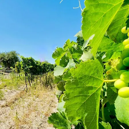 Tenuta Le Chorisie Vakantiehuis Noto