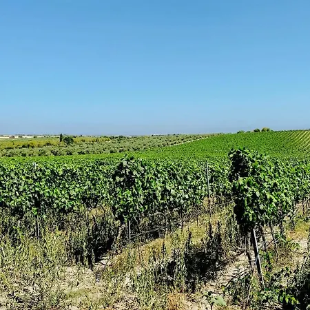 Vakantiehuis Tenuta Le Chorisie Noto